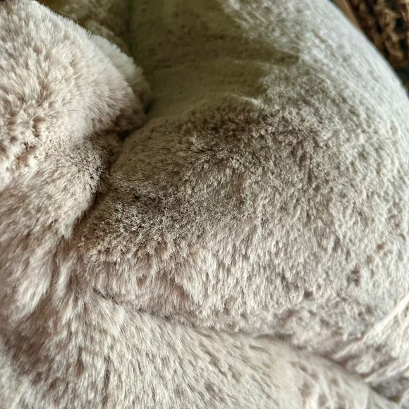 RACHEL ZOE Soft & Cozy Faux Fur Accent Pillow ! NWT! Cuddle up in coziness π΄ - Picture 6 of 14